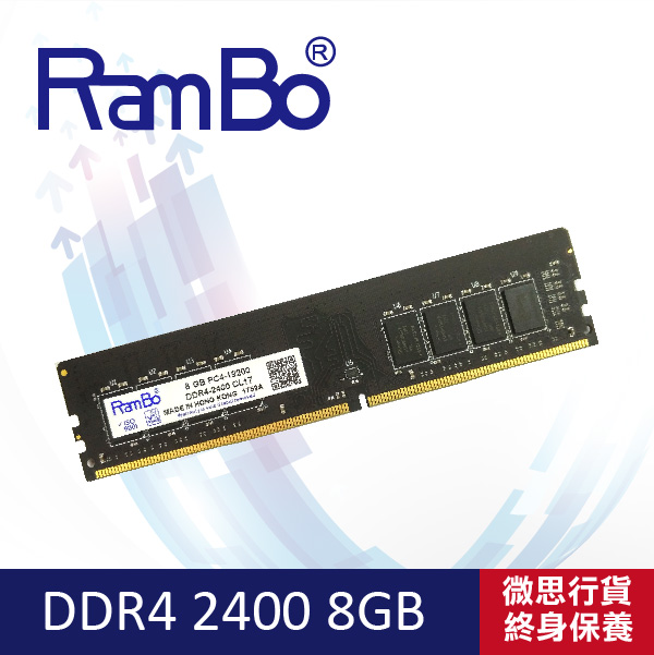 RamBo Long DIMM DDR4-2400